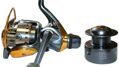 Photo of Как выбрать правильную катушку