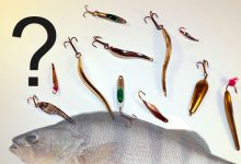 Photo of Самые эффективные блесны для окуня