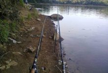 Photo of Ловля на течении: особенности