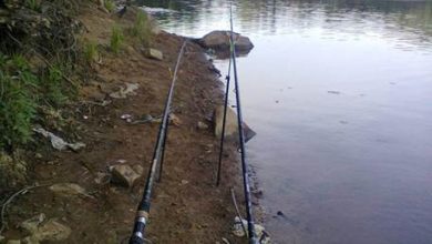 Photo of Ловля на течении: особенности