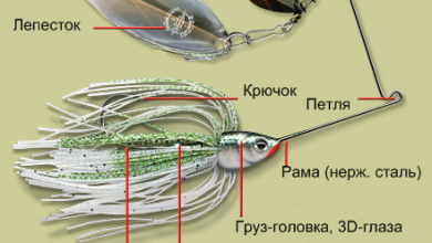 Photo of Ловля хищника на спиннербейты