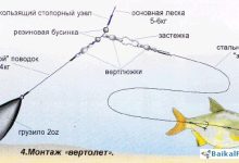 Photo of Как выбрать правильные снасти
