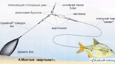 Photo of Как выбрать правильные снасти