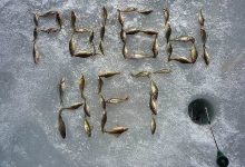 Photo of Где ловить рыбу зимой