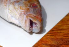 Photo of Как найти рыбу быстро