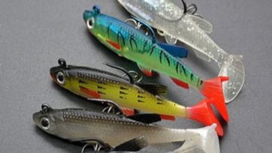 Photo of Секреты успешной рыбалки на мягкие приманки