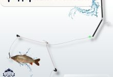 Photo of Ловля рыбы на фидер