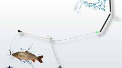 Photo of Ловля рыбы на фидер