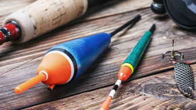 Photo of Новинки в мире рыболовных снастей