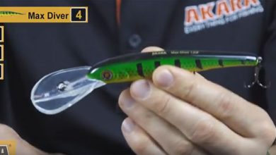 Photo of Лучшие блесны для троллинга