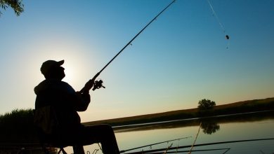 Photo of Идеальное место для улова