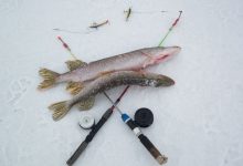 Photo of Снасти для зимней рыбалки