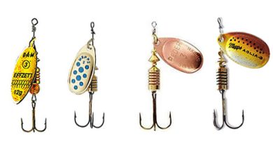 Photo of Идеальные приманки для спиннинга