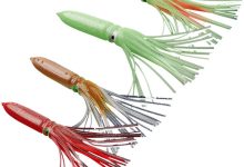 Photo of Как правильно выбрать приманку