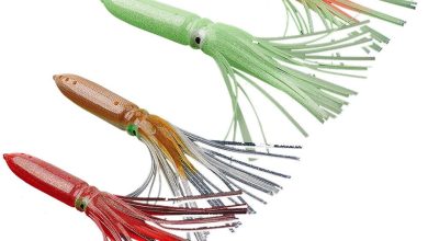 Photo of Как правильно выбрать приманку