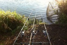 Photo of Как подобрать снасти для карповой ловли