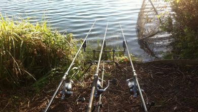 Photo of Как подобрать снасти для карповой ловли