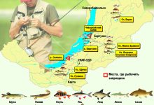 Photo of Где ловить больше всего