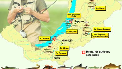 Photo of Где ловить больше всего