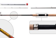 Photo of Ловля карпа на фидер