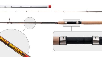 Photo of Ловля карпа на фидер