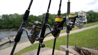 Photo of Как выбрать правильное удилище