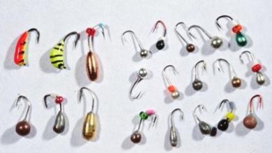 Photo of Современные снасти для рыбной ловли