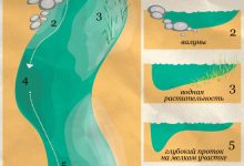 Photo of Как найти рыбу на реке