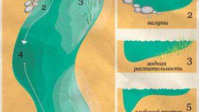 Photo of Где искать рыбу летом