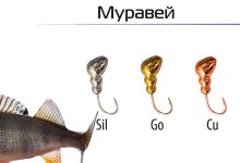 Photo of Основы мормышечной рыбалки
