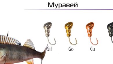 Photo of Основы мормышечной рыбалки
