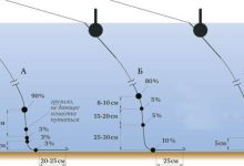 Photo of Поплавочная рыбалка: особенности