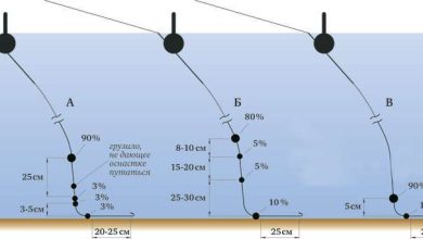 Photo of Поплавочная рыбалка: особенности