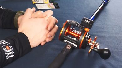 Photo of Снасти для рыбалки в море