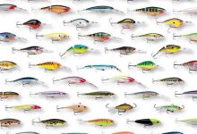 Photo of Топовые воблеры для щуки