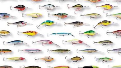 Photo of Топовые воблеры для щуки