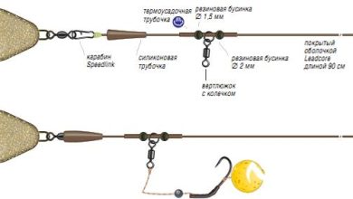 Photo of Эффективные снасти для ловли на фидер