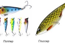 Photo of Как выбрать правильные воблеры