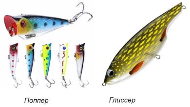 Photo of Как выбрать правильные воблеры