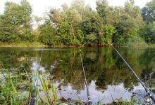 Photo of Секреты спиннинговой ловли