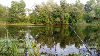 Photo of Секреты спиннинговой ловли