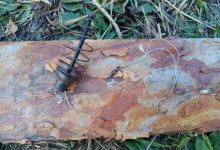 Photo of Бюджетные варианты снастей для начинающих