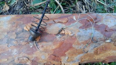 Photo of Бюджетные варианты снастей для начинающих